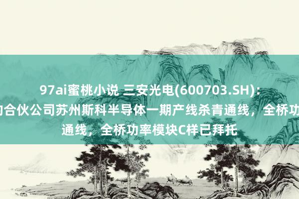 97ai蜜桃小说 三安光电(600703.SH):与理思汽车开导的合伙公司苏州斯科半导体一期产线杀青通线,全桥功率模块C样已拜托