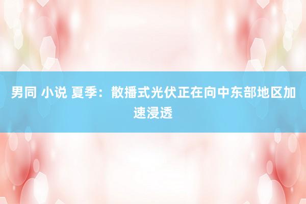 男同 小说 夏季：散播式光伏正在向中东部地区加速浸透
