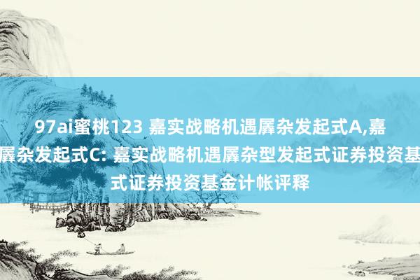 97ai蜜桃123 嘉实战略机遇羼杂发起式A,嘉实战略机遇羼杂发起式C: 嘉实战略机遇羼杂型发起式证券投资基金计帐评释