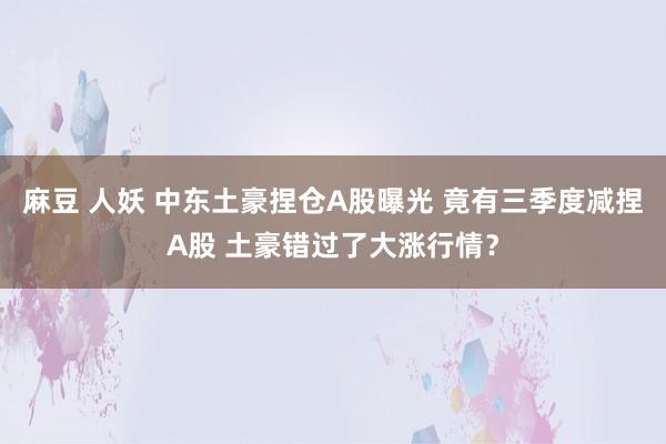 麻豆 人妖 中东土豪捏仓A股曝光 竟有三季度减捏A股 土豪错过了大涨行情？