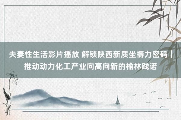 夫妻性生活影片播放 解锁陕西新质坐褥力密码|推动动力化工产业向高向新的榆林践诺
