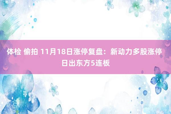 体检 偷拍 11月18日涨停复盘：新动力多股涨停 日出东方5连板
