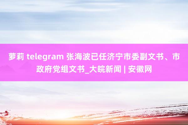 萝莉 telegram 张海波已任济宁市委副文书、市政府党组文书_大皖新闻 | 安徽网