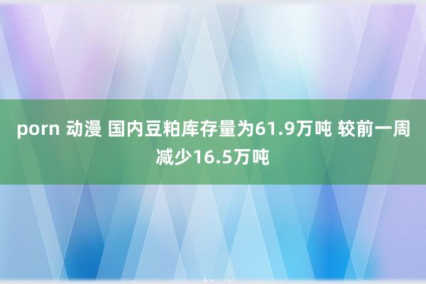 porn 动漫 国内豆粕库存量为61.9万吨 较前一周减少16.5万吨