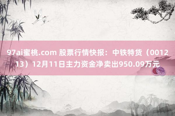 97ai蜜桃.com 股票行情快报：中铁特货（001213）12月11日主力资金净卖出950.09万元