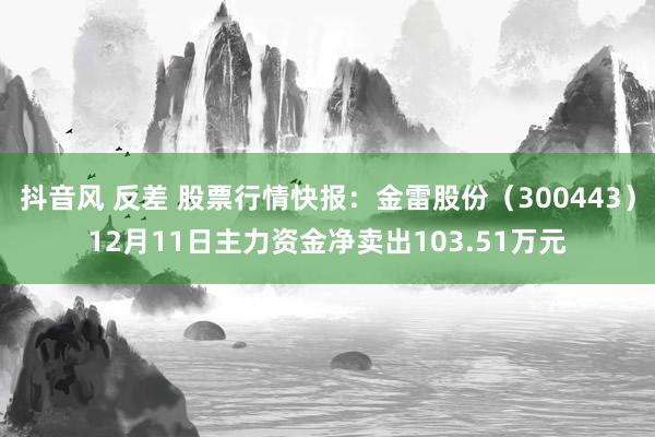 抖音风 反差 股票行情快报：金雷股份（300443）12月11日主力资金净卖出103.51万元