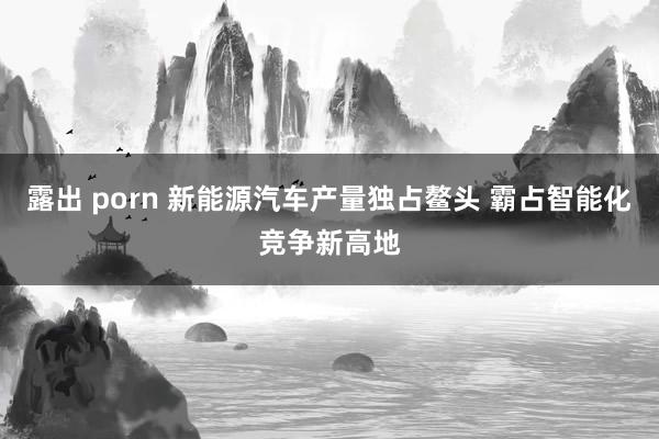 露出 porn 新能源汽车产量独占鳌头 霸占智能化竞争新高地
