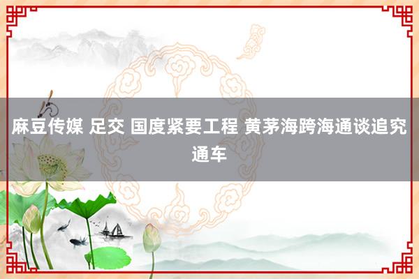麻豆传媒 足交 国度紧要工程 黄茅海跨海通谈追究通车