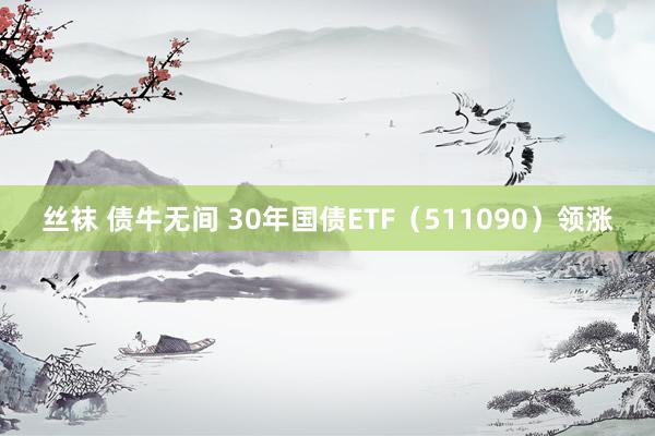 丝袜 债牛无间 30年国债ETF（511090）领涨