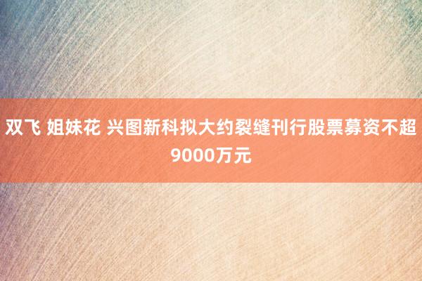 双飞 姐妹花 兴图新科拟大约裂缝刊行股票募资不超9000万元
