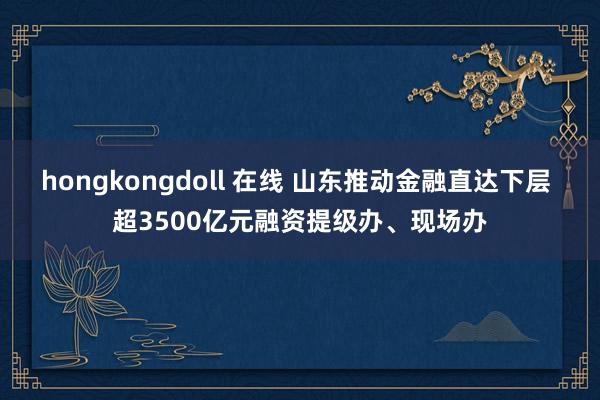 hongkongdoll 在线 山东推动金融直达下层 超3500亿元融资提级办、现场办