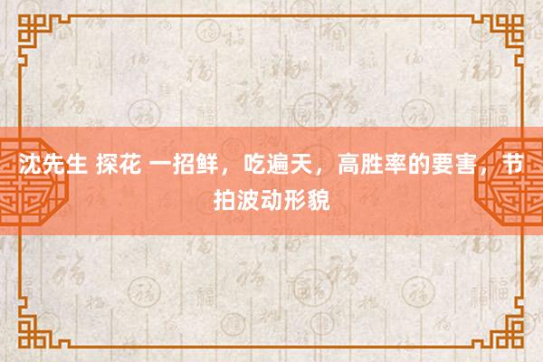 沈先生 探花 一招鲜，吃遍天，高胜率的要害，节拍波动形貌