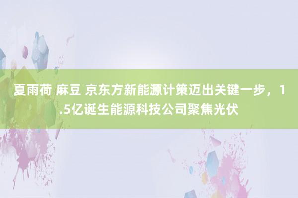夏雨荷 麻豆 京东方新能源计策迈出关键一步，1.5亿诞生能源科技公司聚焦光伏