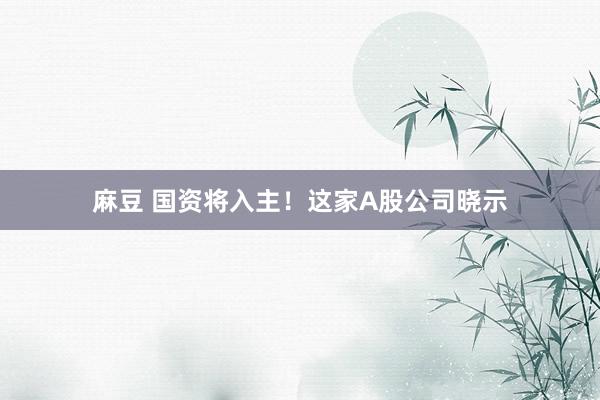 麻豆 国资将入主！这家A股公司晓示