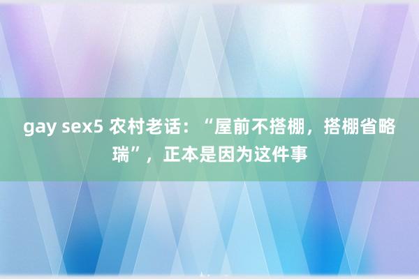 gay sex5 农村老话：“屋前不搭棚，搭棚省略瑞”，正本是因为这件事