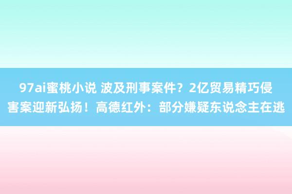 97ai蜜桃小说 波及刑事案件？2亿贸易精巧侵害案迎新弘扬！高德红外：部分嫌疑东说念主在逃