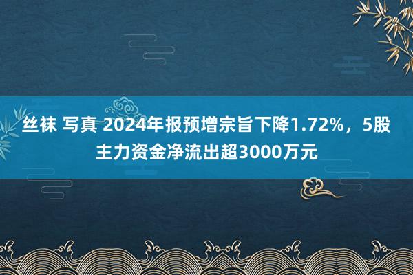 丝袜 写真 2024年报预增宗旨下降1.72%，5股主力资金净流出超3000万元