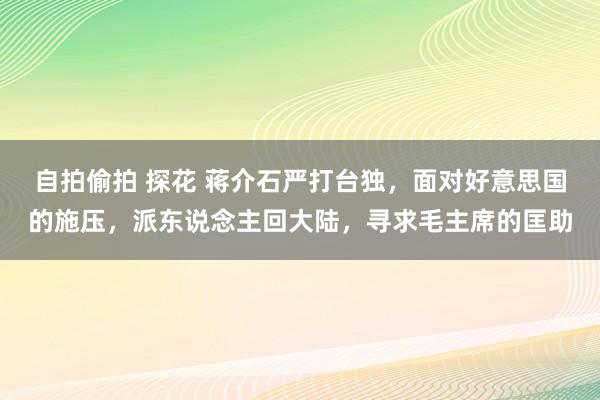 自拍偷拍 探花 蒋介石严打台独，面对好意思国的施压，派东说念主回大陆，寻求毛主席的匡助