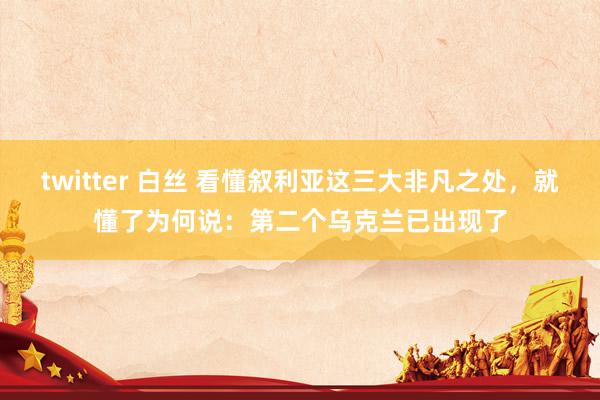 twitter 白丝 看懂叙利亚这三大非凡之处，就懂了为何说：第二个乌克兰已出现了