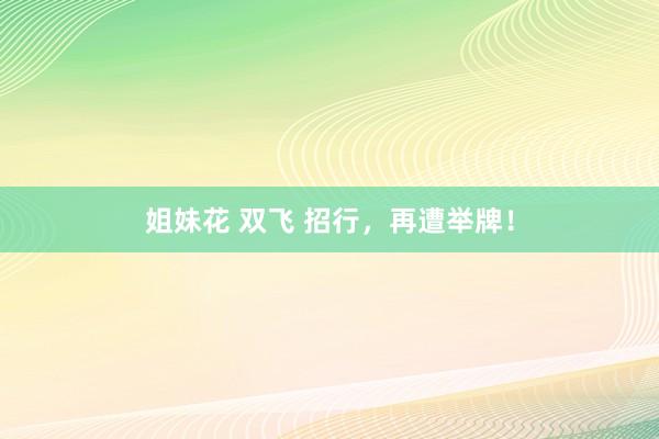 姐妹花 双飞 招行，再遭举牌！