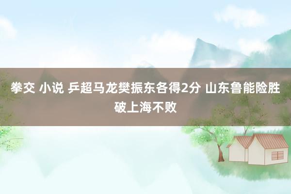 拳交 小说 乒超马龙樊振东各得2分 山东鲁能险胜破上海不败