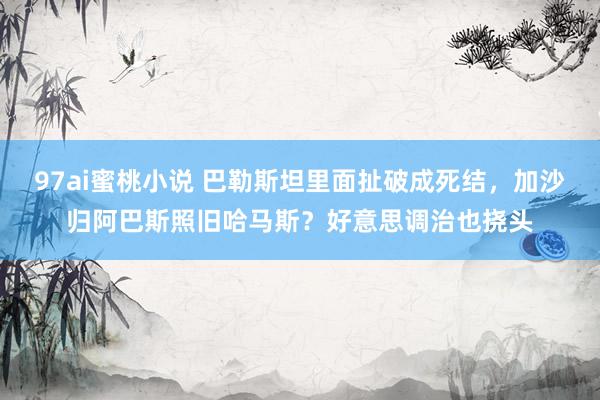 97ai蜜桃小说 巴勒斯坦里面扯破成死结，加沙归阿巴斯照旧哈马斯？好意思调治也挠头