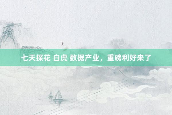 七天探花 白虎 数据产业，重磅利好来了