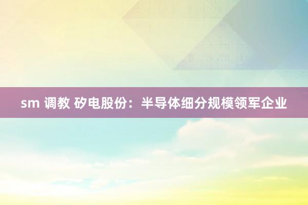 sm 调教 矽电股份：半导体细分规模领军企业