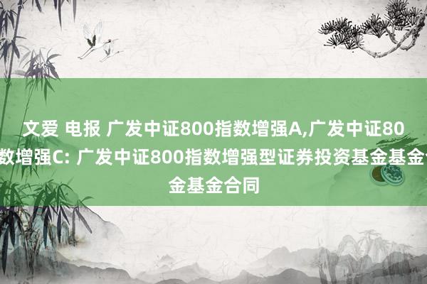 文爱 电报 广发中证800指数增强A,广发中证800指数增强C: 广发中证800指数增强型证券投资基金基金合同