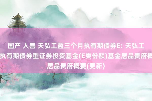 国产 人兽 天弘工盈三个月执有期债券E: 天弘工盈三个月执有期债券型证券投资基金(E类份额)基金居品贵府概要(更新)