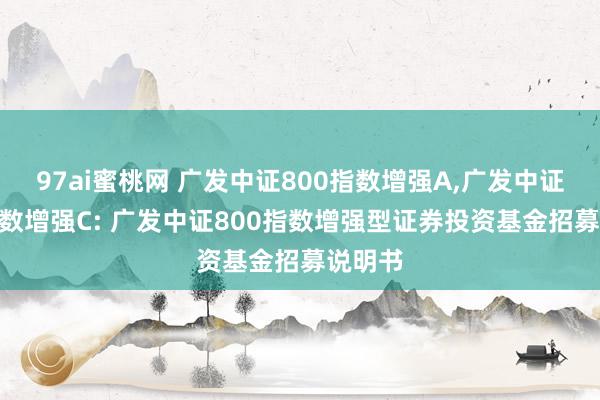 97ai蜜桃网 广发中证800指数增强A，广发中证800指数增强C: 广发中证800指数增强型证券投资基金招募说明书