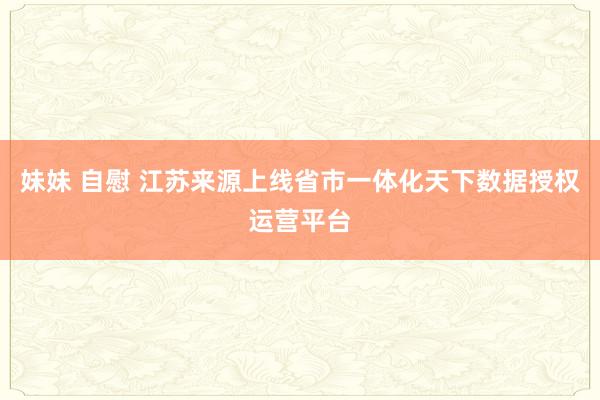 妹妹 自慰 江苏来源上线省市一体化天下数据授权运营平台