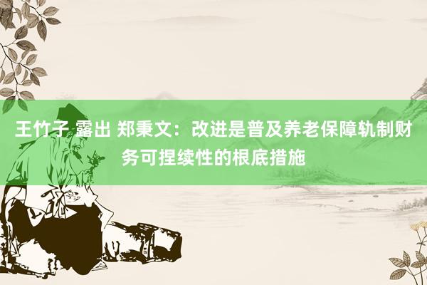 王竹子 露出 郑秉文：改进是普及养老保障轨制财务可捏续性的根底措施