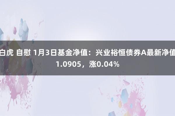 白虎 自慰 1月3日基金净值：兴业裕恒债券A最新净值1.0905，涨0.04%