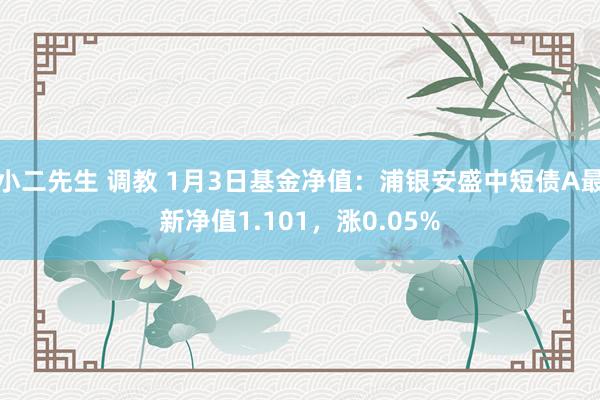 小二先生 调教 1月3日基金净值：浦银安盛中短债A最新净值1.101，涨0.05%