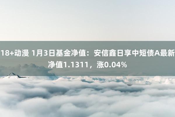 18+动漫 1月3日基金净值：安信鑫日享中短债A最新净值1.1311，涨0.04%