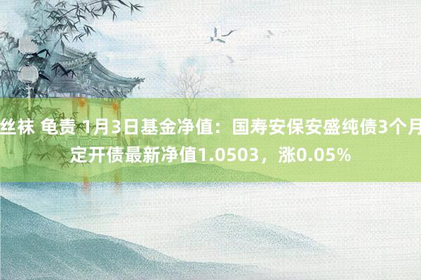 丝袜 龟责 1月3日基金净值：国寿安保安盛纯债3个月定开债最新净值1.0503，涨0.05%