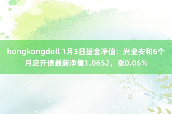 hongkongdoll 1月3日基金净值：兴业安和6个月定开债最新净值1.0652，涨0.06%