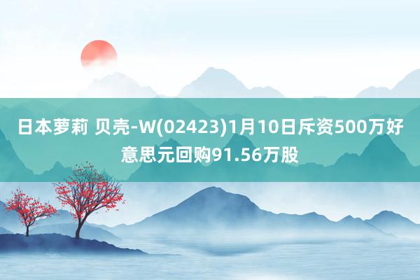 日本萝莉 贝壳-W(02423)1月10日斥资500万好意思元回购91.56万股