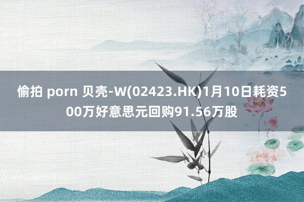 偷拍 porn 贝壳-W(02423.HK)1月10日耗资500万好意思元回购91.56万股