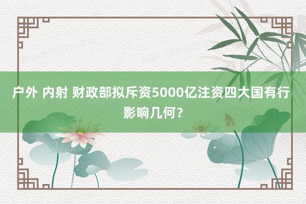 户外 内射 财政部拟斥资5000亿注资四大国有行 影响几何？
