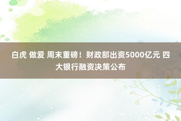 白虎 做爱 周末重磅！财政部出资5000亿元 四大银行融资决策公布