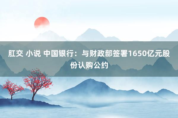 肛交 小说 中国银行：与财政部签署1650亿元股份认购公约