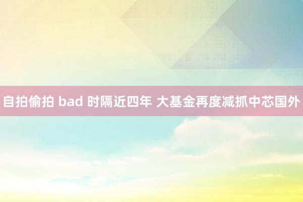 自拍偷拍 bad 时隔近四年 大基金再度减抓中芯国外