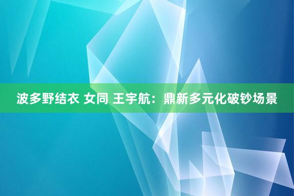 波多野结衣 女同 王宇航：鼎新多元化破钞场景