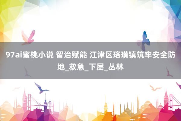 97ai蜜桃小说 智治赋能 江津区珞璜镇筑牢安全防地_救急_下层_丛林