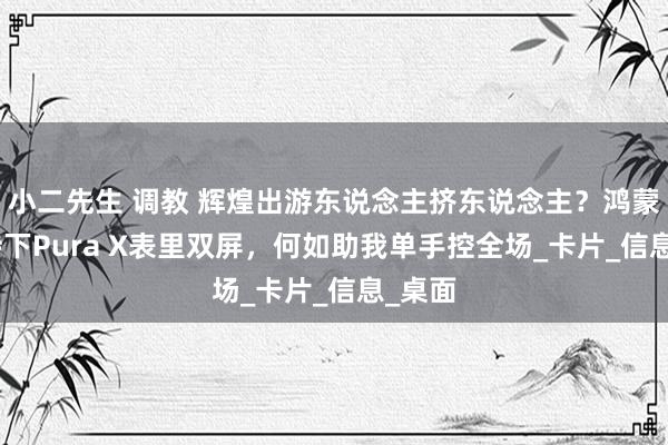 小二先生 调教 辉煌出游东说念主挤东说念主？鸿蒙 5加持下Pura X表里双屏，何如助我单手控全场_卡片_信息_桌面