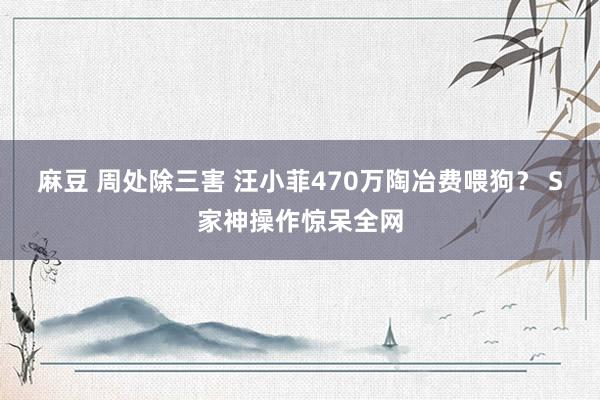 麻豆 周处除三害 汪小菲470万陶冶费喂狗？ S家神操作惊呆全网
