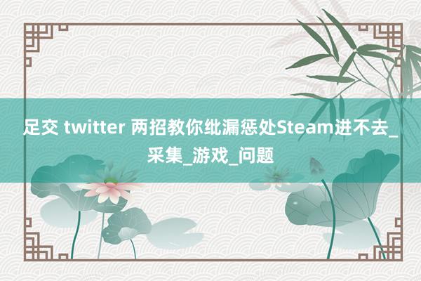 足交 twitter 两招教你纰漏惩处Steam进不去_采集_游戏_问题