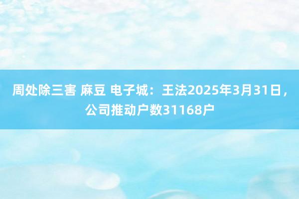 周处除三害 麻豆 电子城：王法2025年3月31日，公司推动户数31168户